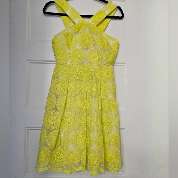 New Daniel Cremieux Women's "Natalie" Daisy Sleeveless Sundress sz 0 NWT - Picture 3 of 8